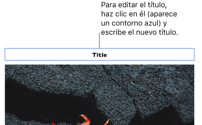 El título de marcador de posición, “Título”, aparece encima de una foto y un contorno azul alrededor del campo de título muestra que está seleccionado.