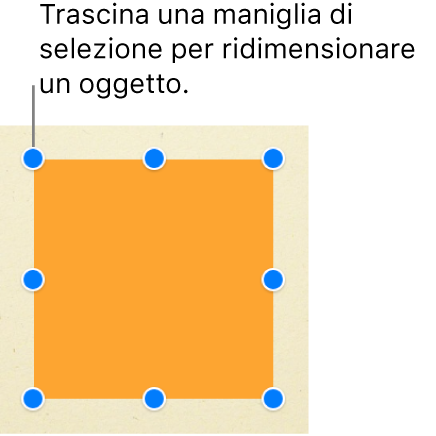 Un quadrato con le maniglie di selezione visibili su ogni angolo e nel punto centrale di ogni lato.