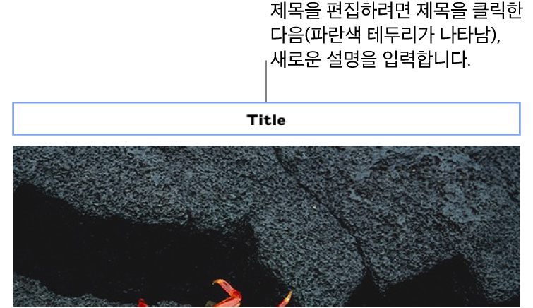 위치 지정자 제목 ‘제목’이 사진 위에 표시되어 있습니다. 제목 필드 주위에 파란색 윤곽이 표시되어 선택되어 있음을 나타냅니다.