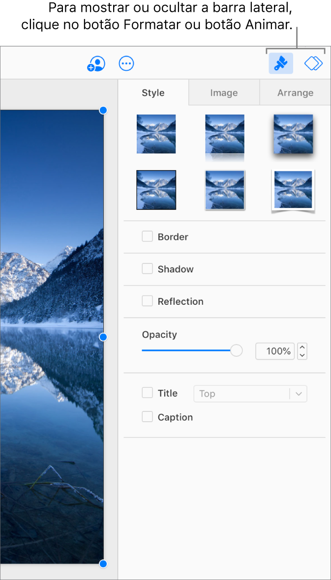 O botão Formatar está selecionado na barra de ferramentas e controles de estilo, sombra e outros tipos de formatação aparecem na barra lateral à direita do slide.