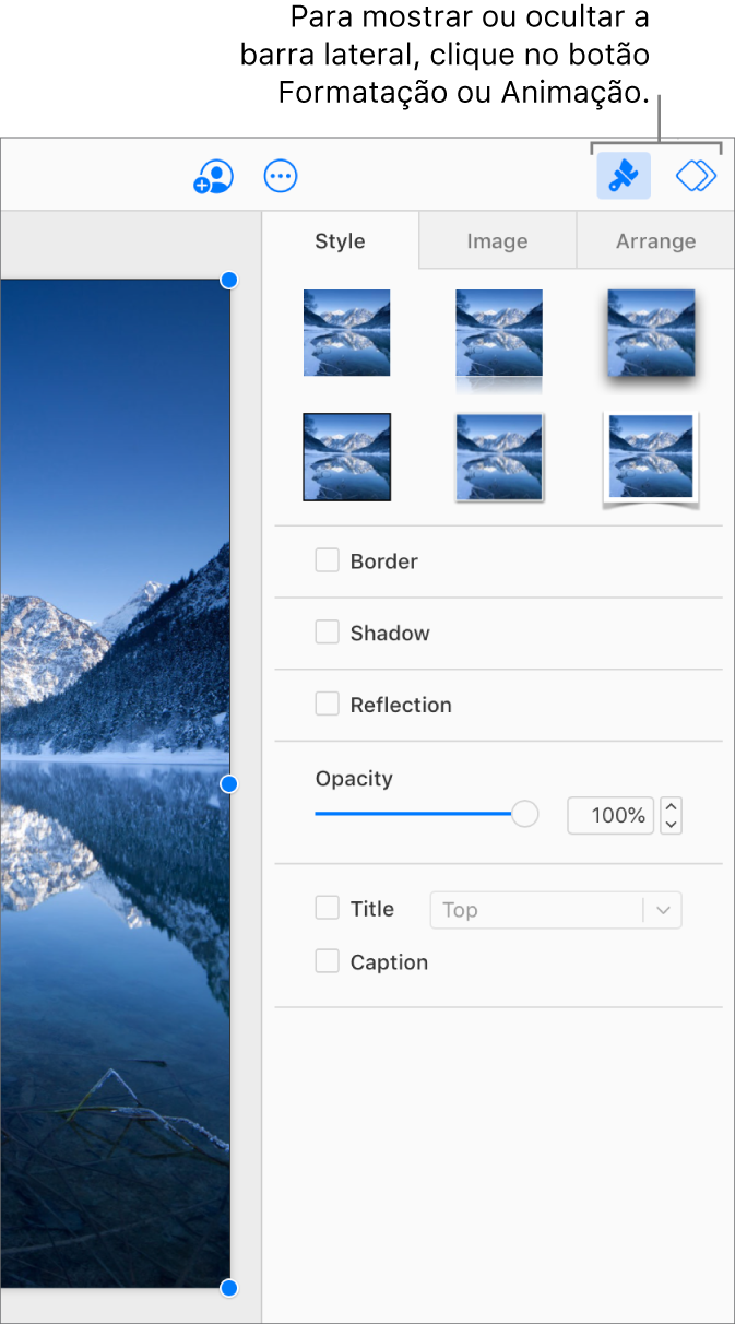 O botão Formatar está selecionado na barra de ferramentas e o estilo, sombra e outros controlos de formatação aparecem na barra lateral à direita do diapositivo.