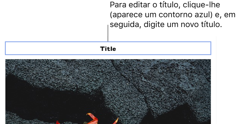 O marcador de posição de título, “Título”, é apresentado por cima da fotografia; um contorno azul em redor do campo de título mostra que está selecionado.