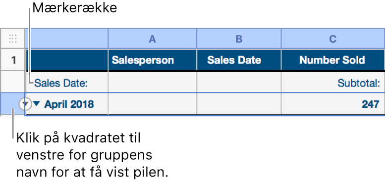 Oversigtsrækken er valgt i en kategoriseret tabel, og der vises en pil ned på rammen. Mærkerækken oven over oversigtsrækken viser navnet på kategorien oven over gruppenavnet og navnet på en funktion, Subtotal, i den tredje kolonne.