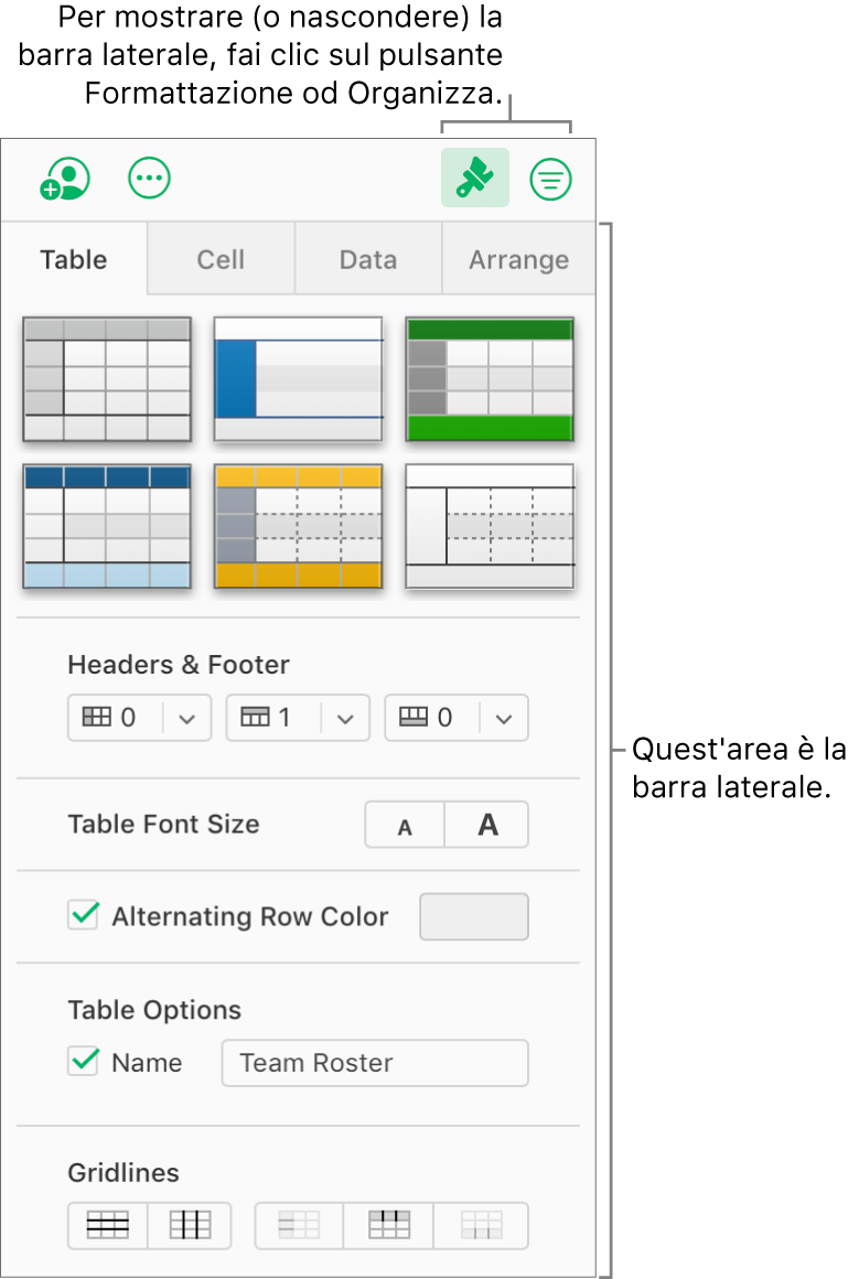 Se nella barra strumenti è selezionato il pulsante Formato, nella barra laterale a destra del foglio di calcolo vengono visualizzati i controlli per lo stile, il colore e altri tipi di formattazione della tabella. Il pulsante Organizza viene visualizzato a destra del pulsante Formato nella barra strumenti.