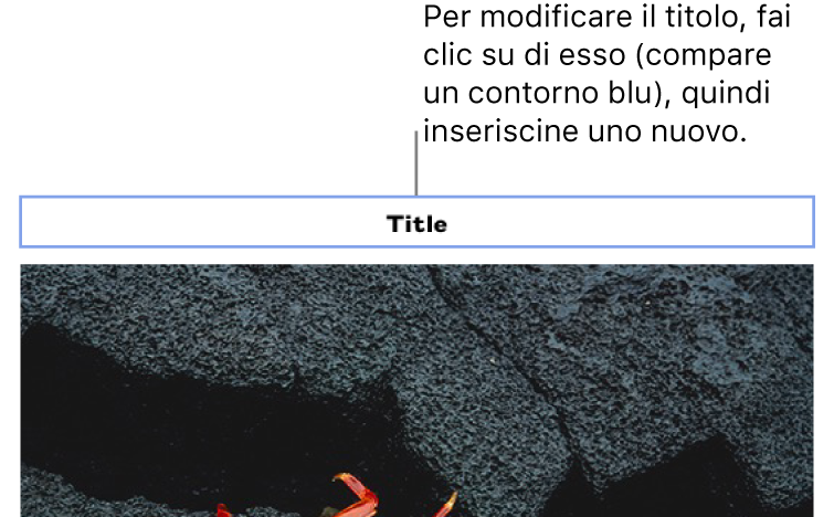 Il segnaposto del titolo, “Titolo”, appare sopra alla foto; un contorno blu intorno al campo del titolo mostra che è selezionato.