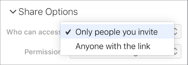 공유 옵션의 '접근할 수 있는 사용자' 팝업 메뉴.