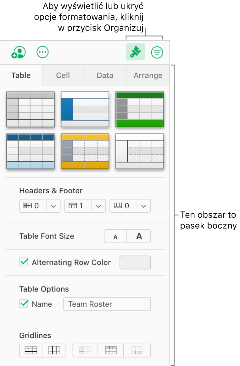 Na pasku narzędzi zaznaczony jest przycisk Format, a na pasku bocznym po prawej stronie arkusza kalkulacyjnego wyświetlane są narzędzia stylu tabeli, koloru i inne narzędzia formatowania. Przycisk Uporządkuj jest wyświetlany z prawej strony przycisku Format na pasku narzędzi.