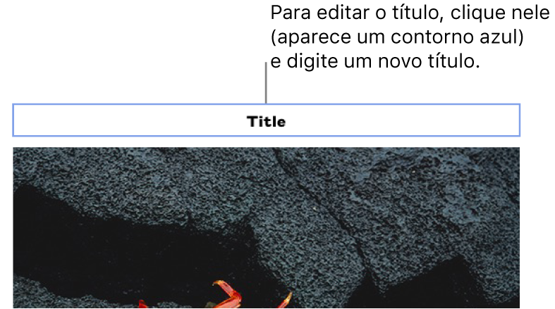 O título do espaço reservado, "Título", aparece acima de uma foto; um contorno azul ao redor do campo de título mostra sua seleção.