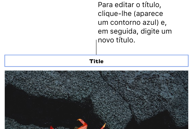 O marcador de posição de título, “Título”, é apresentado por cima da fotografia; um contorno azul em redor do campo de título mostra que está selecionado.