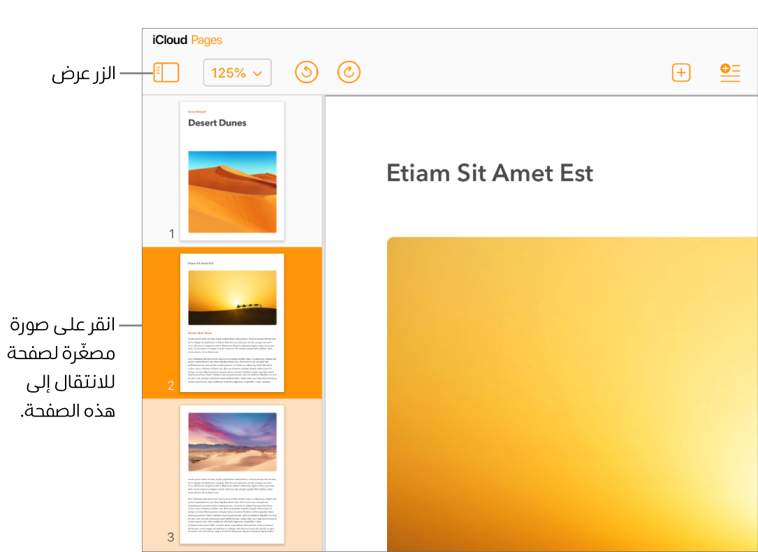 الصور المصغرة للصفحات في الشريط الجانبي الأيمن، مع تمييز الصفحة المحدّدة باللون البرتقالي الداكن وصفحة أخرى في نفس القسم باللون البرتقالي الفاتح.