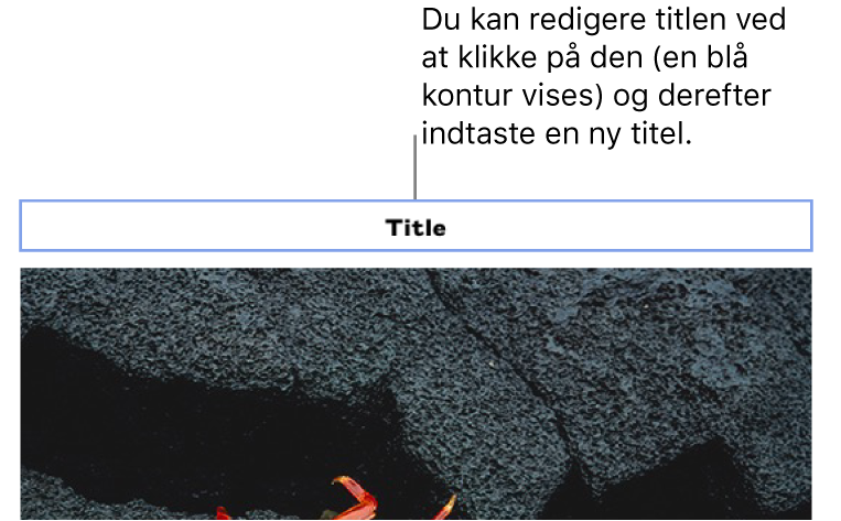 Eksempeltitlen ”Title” vises over et foto. Et blåt omrids rundt om titelfeltet viser, at det er valgt.