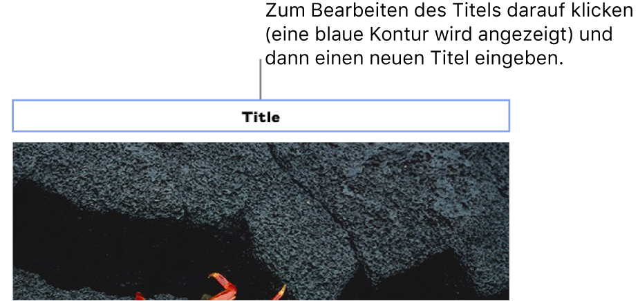 Der Platzhaltertitel „Titel“ erscheint über einem Foto. Eine blaue Kontur um das Titelfeld herum zeigt an, dass es ausgewählt wurde.