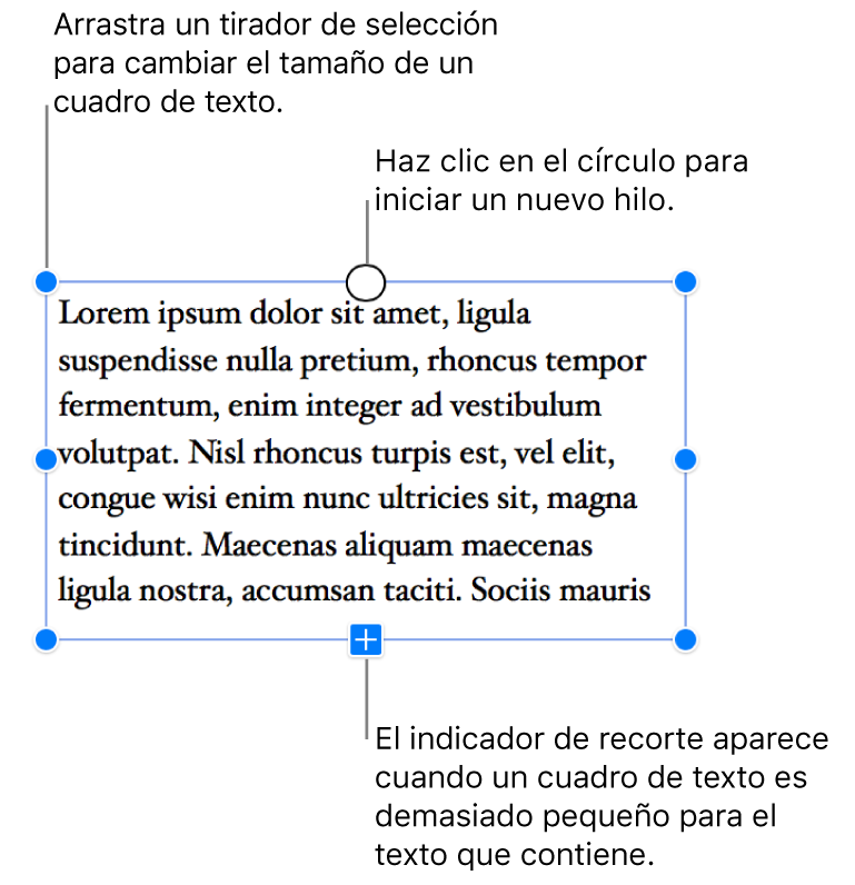 Un cuadro de texto con tiradores de selección azules a su alrededor para indicar que está seleccionado, un indicador de recorte en la parte inferior que indica que hay demasiado texto y un círculo en la parte superior sobre el que se puede hacer clic para iniciar un nuevo subproceso.