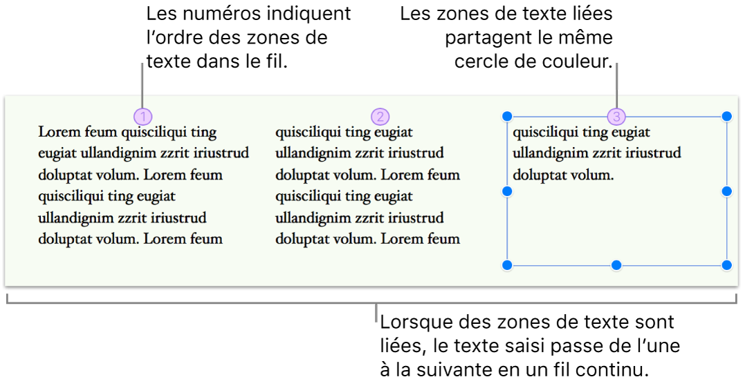 Trois zones de texte liées remplies de texte et présentées côte à côte sur une page. Chaque zone de texte est surmontée d’un cercle violet contenant un numéro pour indiquer son ordre dans le fil.
