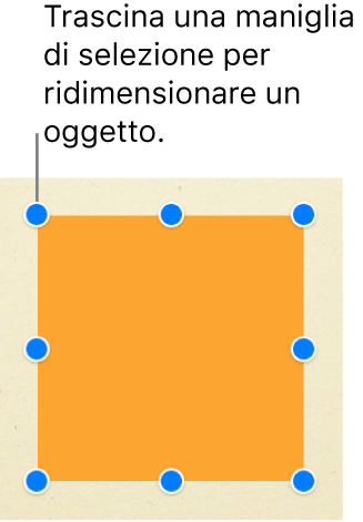 Un quadrato con le maniglie di selezione visibili su ogni angolo e nel punto centrale di ogni lato.