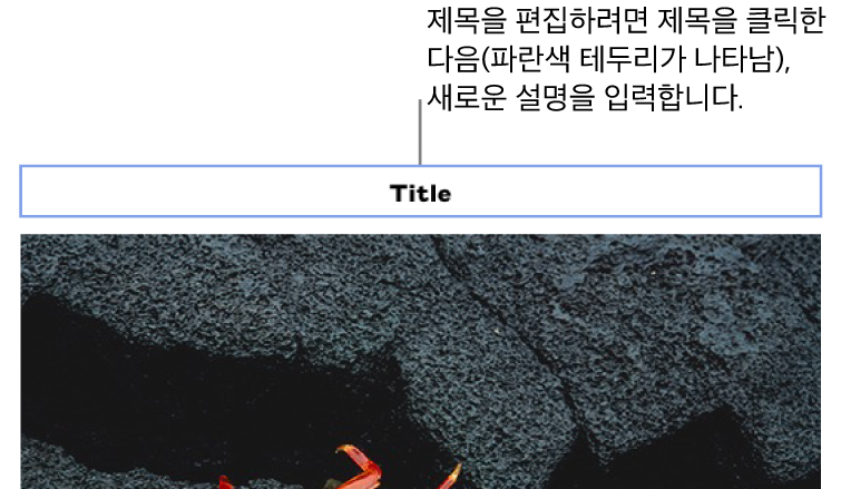 위치 지정자 제목 ‘제목’이 사진 위에 표시되어 있습니다. 제목 필드 주위에 파란색 윤곽이 표시되어 선택되어 있음을 나타냅니다.