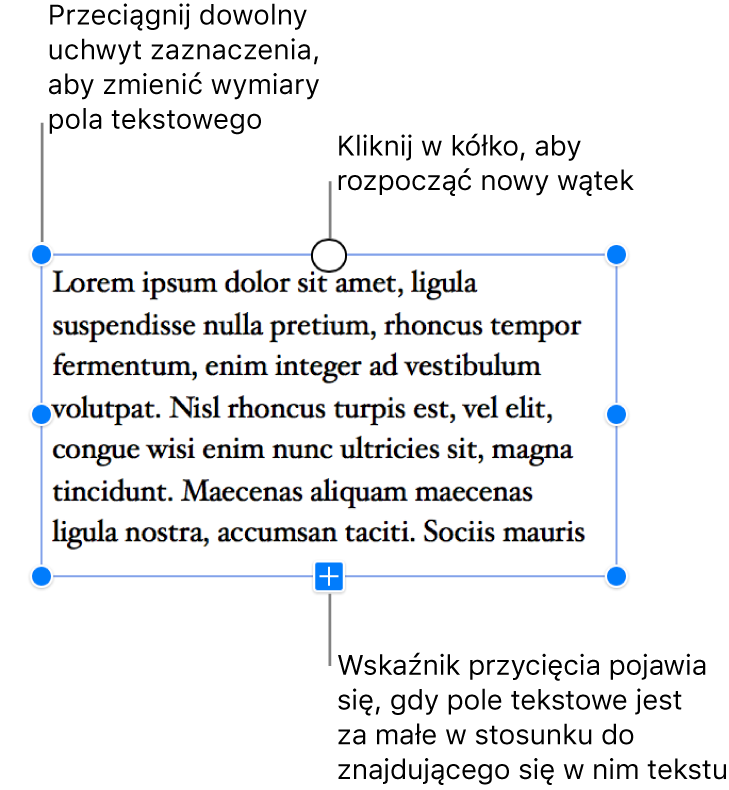 Zaznaczone pole tekstowe otoczone niebieskimi uchwytami zaznaczenia, znacznik przepełnienia u dołu oznaczający, że tekst nie mieści się w polu, oraz kółko u góry, które można kliknąć w celu rozpoczęcia nowego wątku.