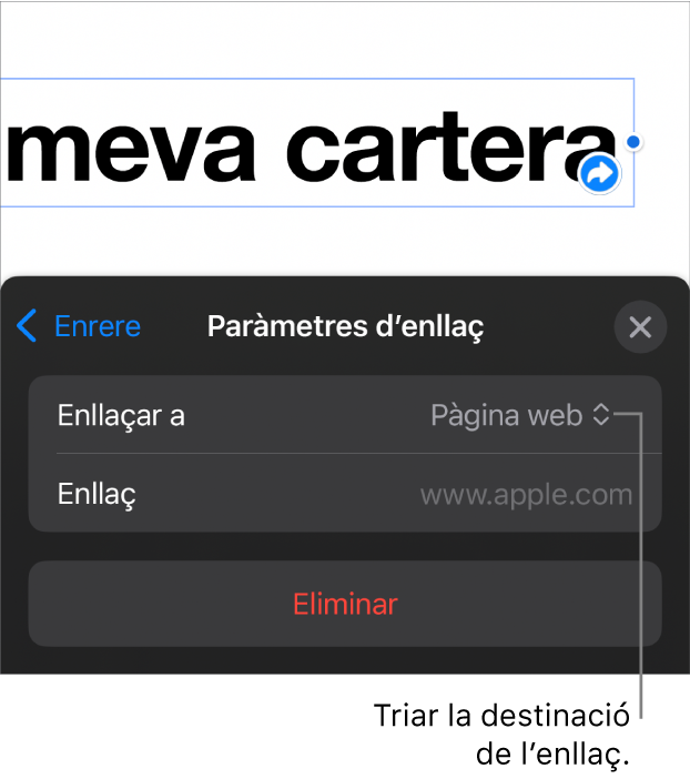 Controls “Paràmetres d’enllaç” amb l’opció “Pàgina web” seleccionada i el botó “Eliminar” situat a la part inferior.