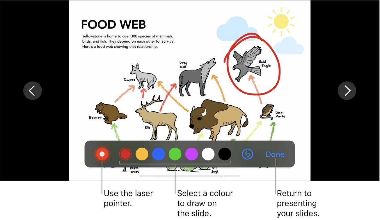 A slide in slide illustration mode showing the laser pointer and colour selection controls.