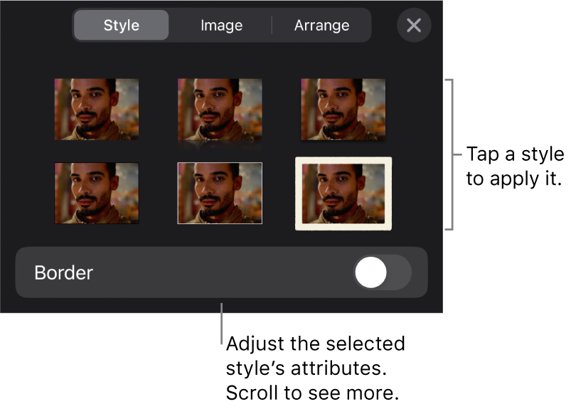 The Style tab of the Format menu with object styles at the top and a control below them to change the border.