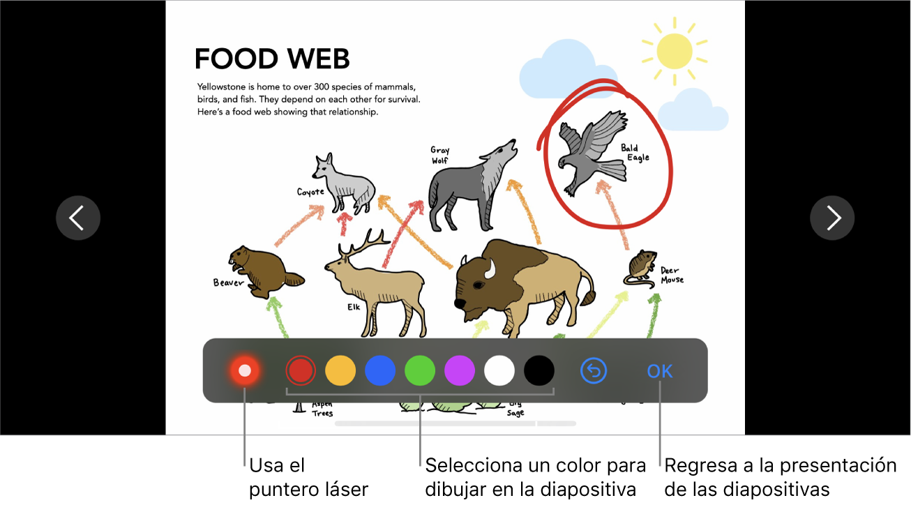Una diapositiva en el modo de ilustración de diapositiva con el puntero láser y los controles de selección de color.
