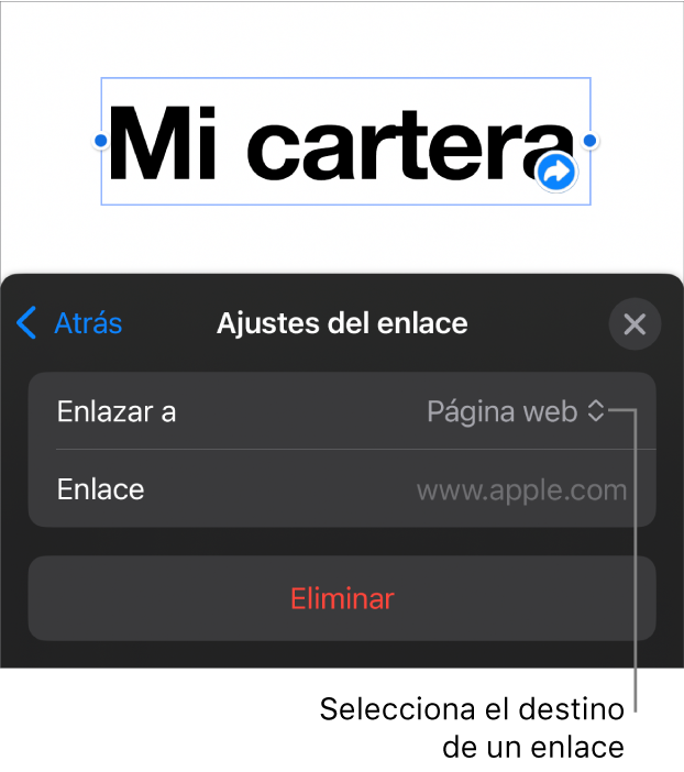 Controles de “Ajustes de enlace” con la opción “Página web” seleccionada y el botón Eliminar en la parte inferior.