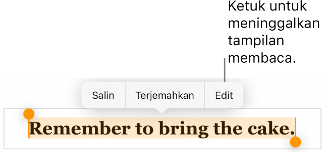 Kalimat dipilih, dan di atasnya terdapat menu kontekstual dengan tombol Salin dan Edit.