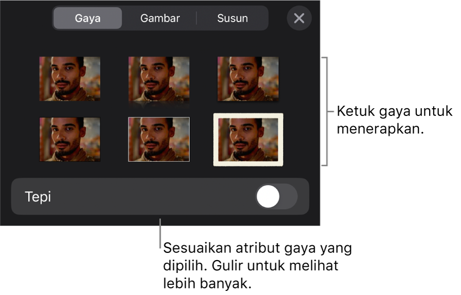 Tab Gaya menu Format dengan gaya objek di bagian atas dan kontrol di bawahnya untuk mengubah tepi.