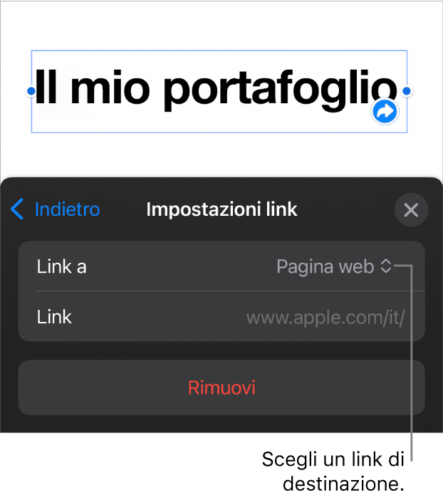 I controlli delle impostazioni dei link con la pagina web selezionata e con il pulsante per rimuovere il link mostrato in basso.