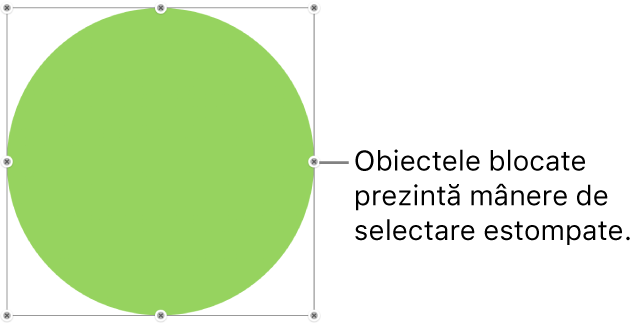 Un obiect blocat cu mânere de selecție estompate.