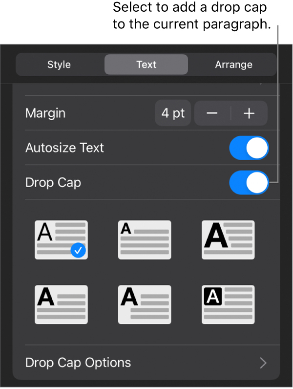 The Drop Cap controls located in the Text menu.