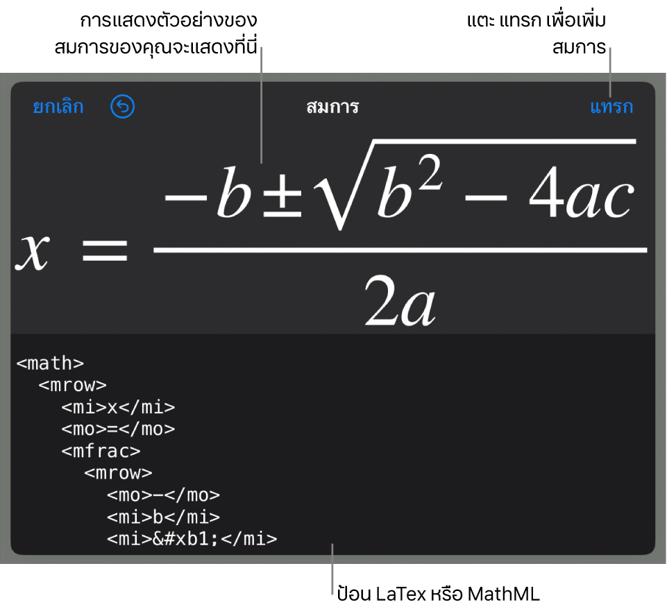 หน้าต่างโต้ตอบสมการ ที่แสดงสมการที่เขียนโดยใช้คำสั่ง MathML และการแสดงตัวอย่างของสูตรด้านบน
