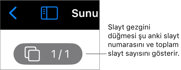Şu anki slayt numarasını ve sunudaki toplam slayt sayısını gösteren slayt gezgini düğmesi.