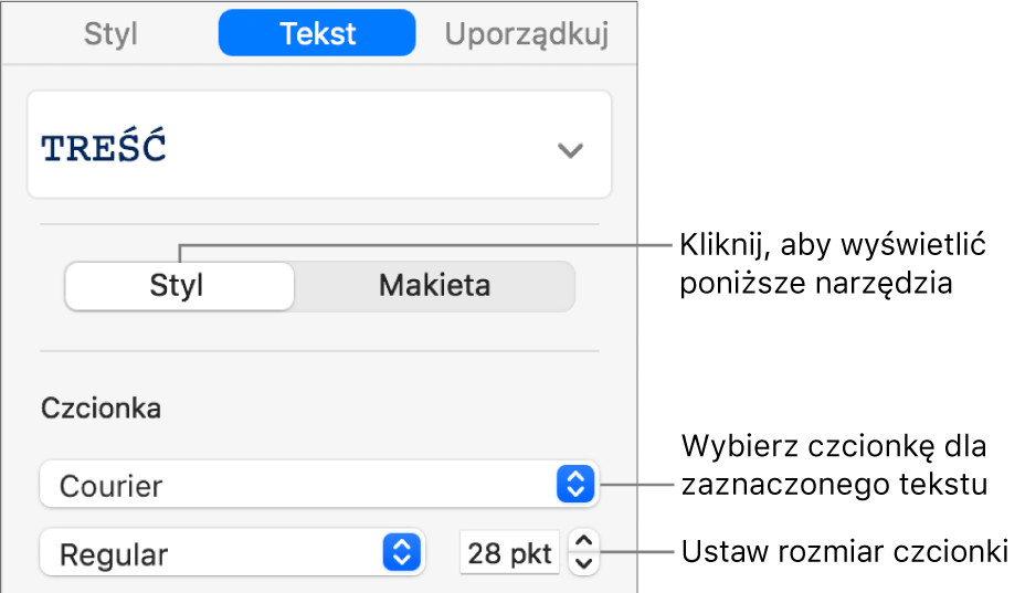 Narzędzia tekstu w sekcji Styl na pasku bocznym, pozwalające na ustawianie czcionki i jej wielkości.