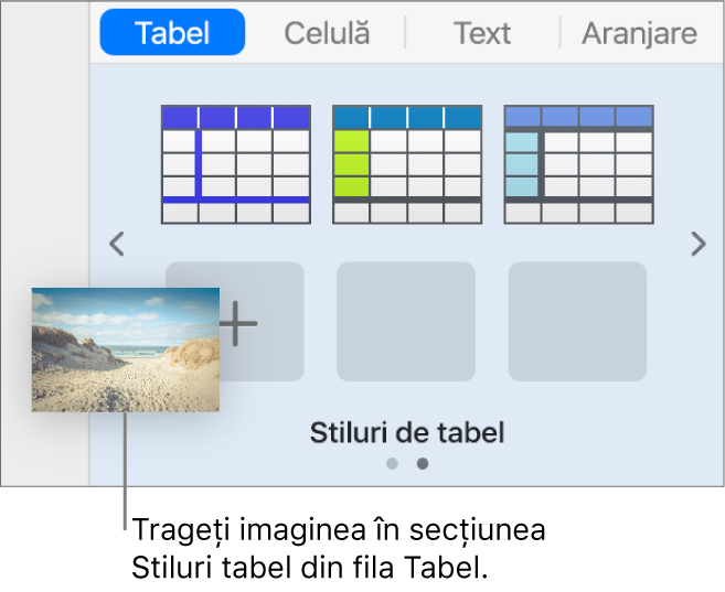 Tragerea unei imagini în stilurile de tabel pentru a crea un nou stil.