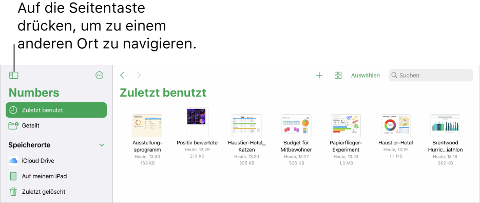 Die Darstellung zum Durchsuchen des Tabellenkalkulationenmanagers mit der Taste „Seitenleiste“ oben links. Oben rechts sind die Tasten „Hinzufügen“, „Neuer Ordner“, „Symbole“ (zum Sortieren nach Name, Datum, Größe oder Tag), „Auswählen“ und „Suchen“.