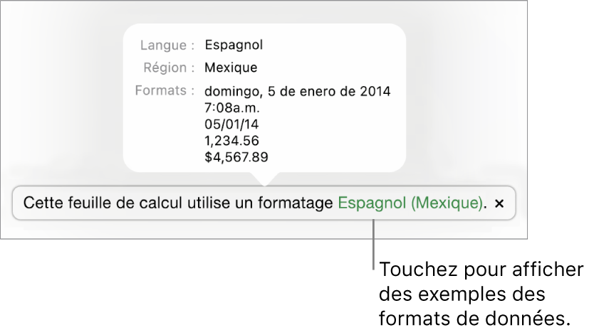 La notification du réglage de langue et de région différents, qui affiche des exemples de la mise en forme correspondant à cette langue et à cette région.