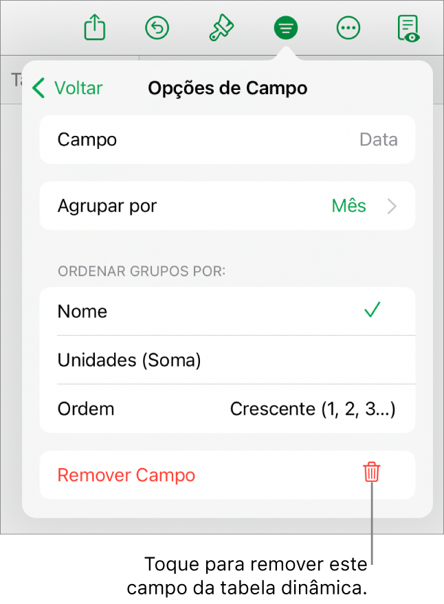 O menu Opções de Campo, mostrando os controles para agrupar e classificar dados, assim como a opção de remover um campo.