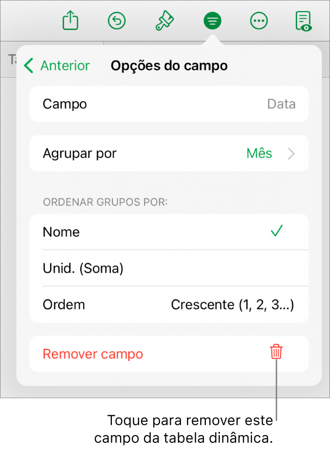 O menu "Opções do campo”, a mostrar os controlos que permitem agrupar e ordenar dados, assim como a opção para remover um campo.