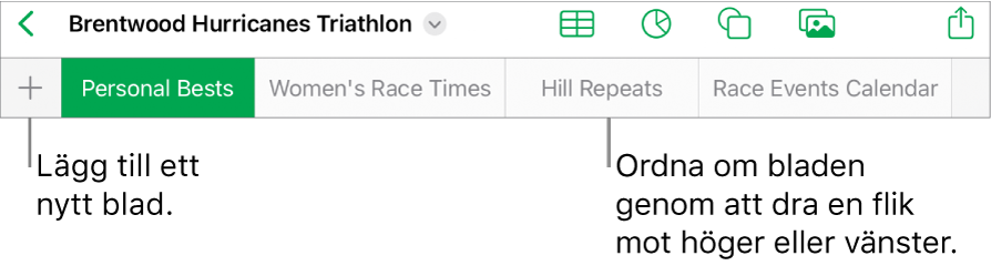 Flikfältet för att lägga till ett nytt blad, navigera, ändra ordning på och arrangera om blad.