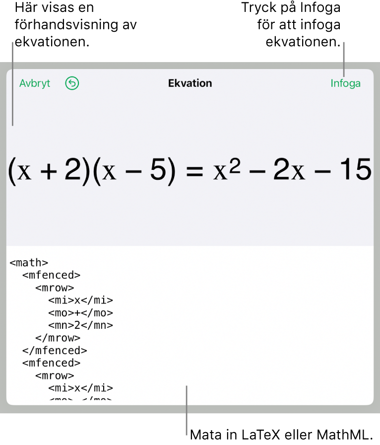 Dialogrutan Ekvation visar en ekvation som skrivits med MathML-kommandon och en förhandsvisning av formeln ovanför den.