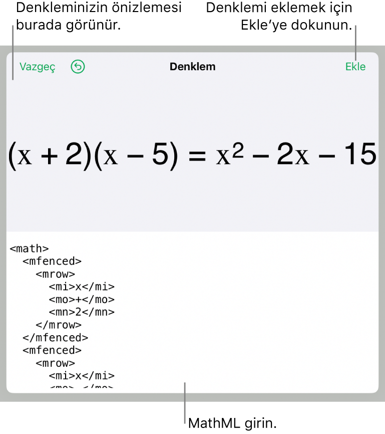 MathML komutları kullanılarak yazılmış bir denklemi ve onun üstünde formülün önizlemesini gösteren Denklem sorgu kutusu.