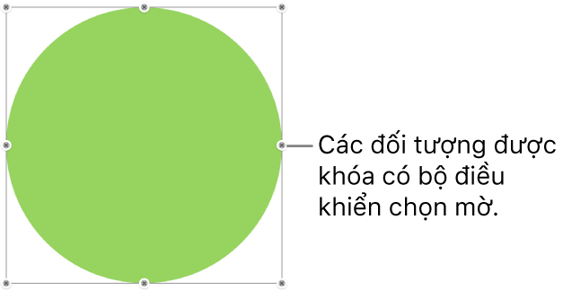 Một đối tượng bị khóa có các bộ điều khiển chọn bị làm mờ.