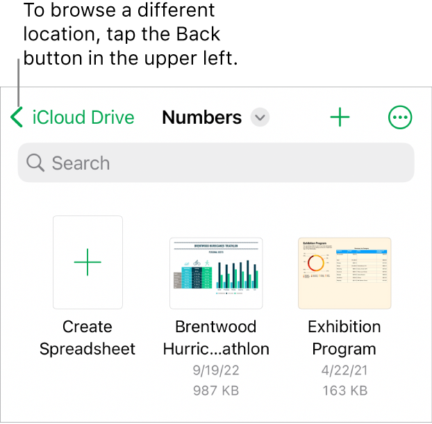 The browse view of the spreadsheet manager with the Back button in the top-left corner and below it a Search field. Below the Search field is a Create Spreadsheet button next to thumbnails of existing spreadsheets. In the top-right corner are the Add button and the More button.