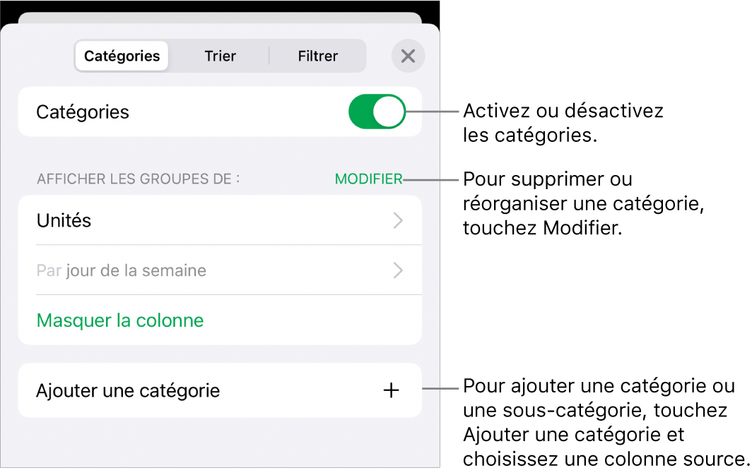Le menu Catégories pour l’iPhone avec des options pour désactiver des catégories, supprimer des catégories, regrouper des données, masquer une colonne source et ajouter des catégories.