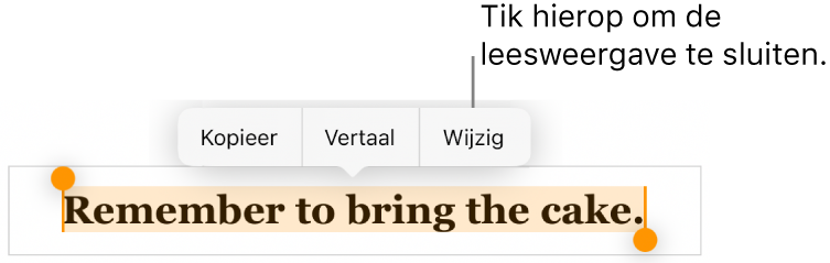 Er is een zin geselecteerd en erboven staat een contextueel menu met de knoppen 'Kopieer' en 'Wijzig'.