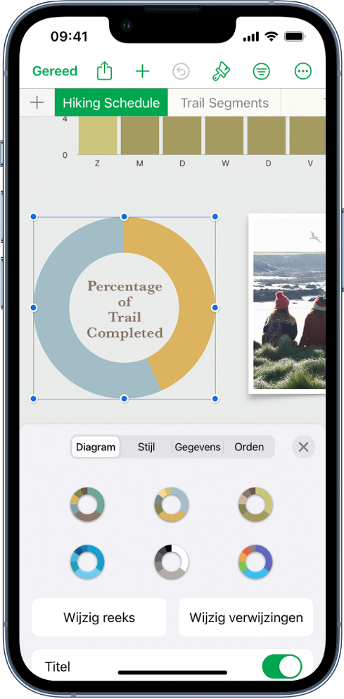 Een cirkeldiagram met percentages van gelopen routes. Ook het opmaakmenu is geopend met daarin verschillende diagramstijlen en opties voor het wijzigen van de reeks of diagramverwijzingen en voor het in- of uitschakelen van de diagramnaam.