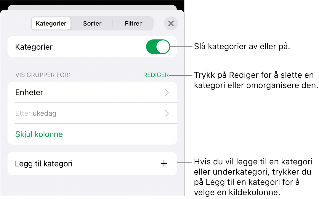 Kategorier-menyen for iPhone med alternativer for å slå av kategorier, slette kategorier, omgruppere data, skjule en kildekolonne og legge til kategorier.