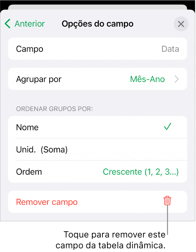 O menu "Opções do campo”, a mostrar os controlos que permitem agrupar e ordenar dados, assim como a opção para remover um campo.