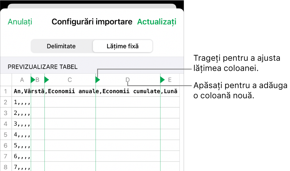Configurările de importare pentru un fișier de text cu lățime fixă.